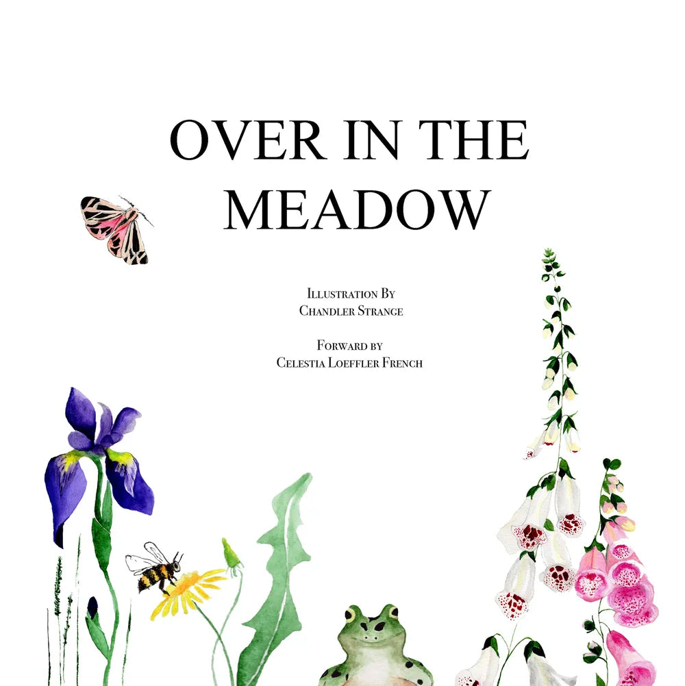 Over in the Meadow gift book