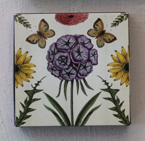 Safety Matches in Matchbox with Animals & Botanicals, 2 Styles ©